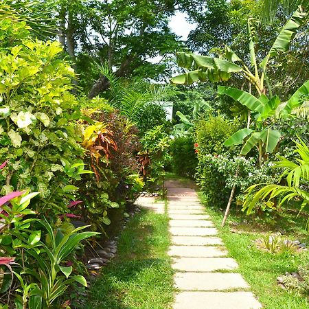 Cocotier Du Rocher La Digue Luaran gambar