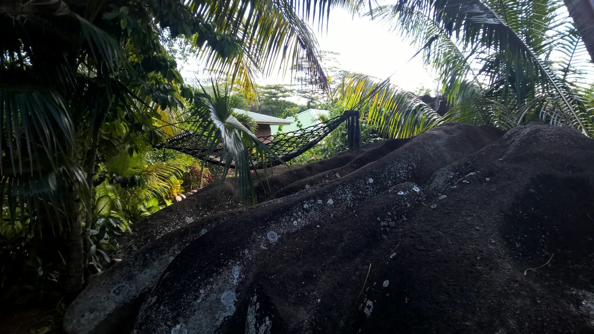 Cocotier Du Rocher La Digue Luaran gambar