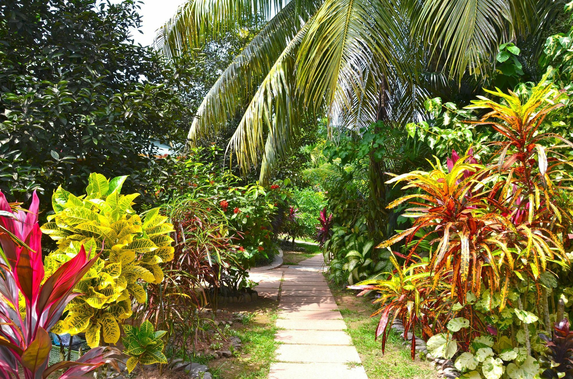 Cocotier Du Rocher La Digue Luaran gambar