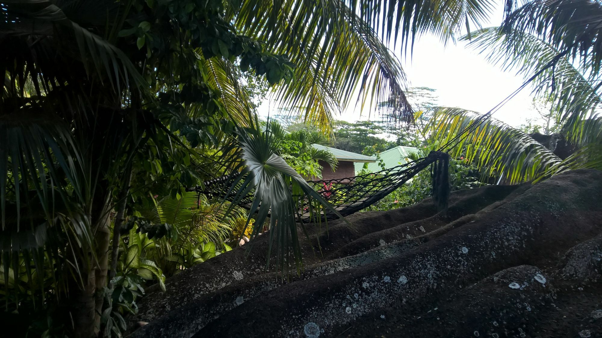 Cocotier Du Rocher La Digue Luaran gambar