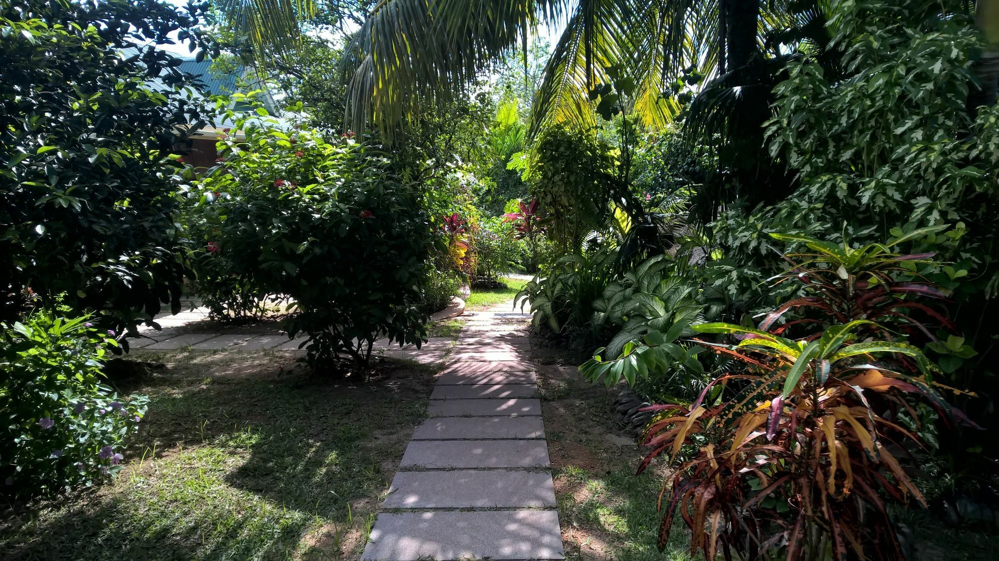 Cocotier Du Rocher La Digue Luaran gambar