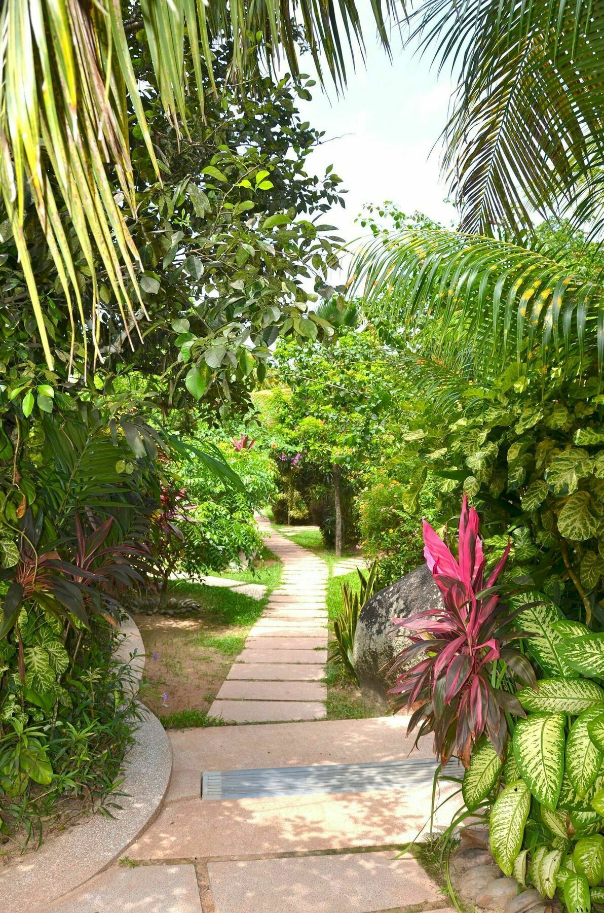 Cocotier Du Rocher La Digue Luaran gambar